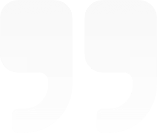 Udtalelser